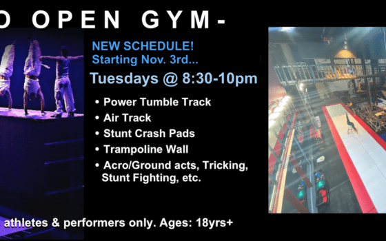 NEW! Pro Gym Announcement