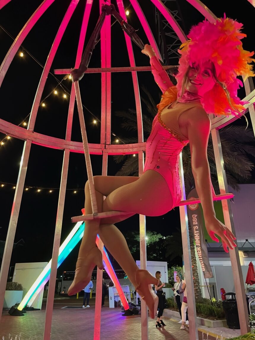 Birdcage Aerial Freestanding Rig
