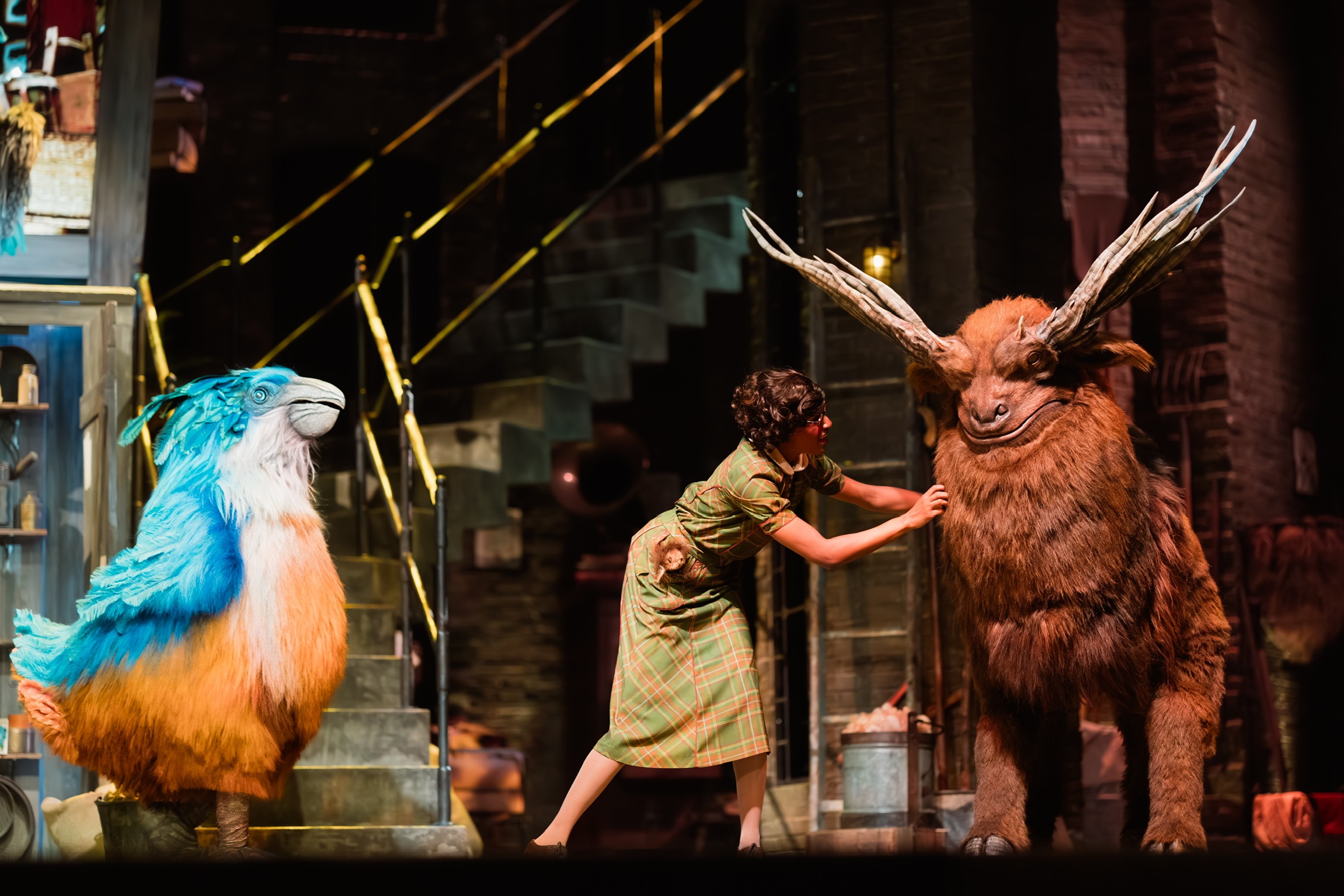 Le Cirque Arcanus Show image 2