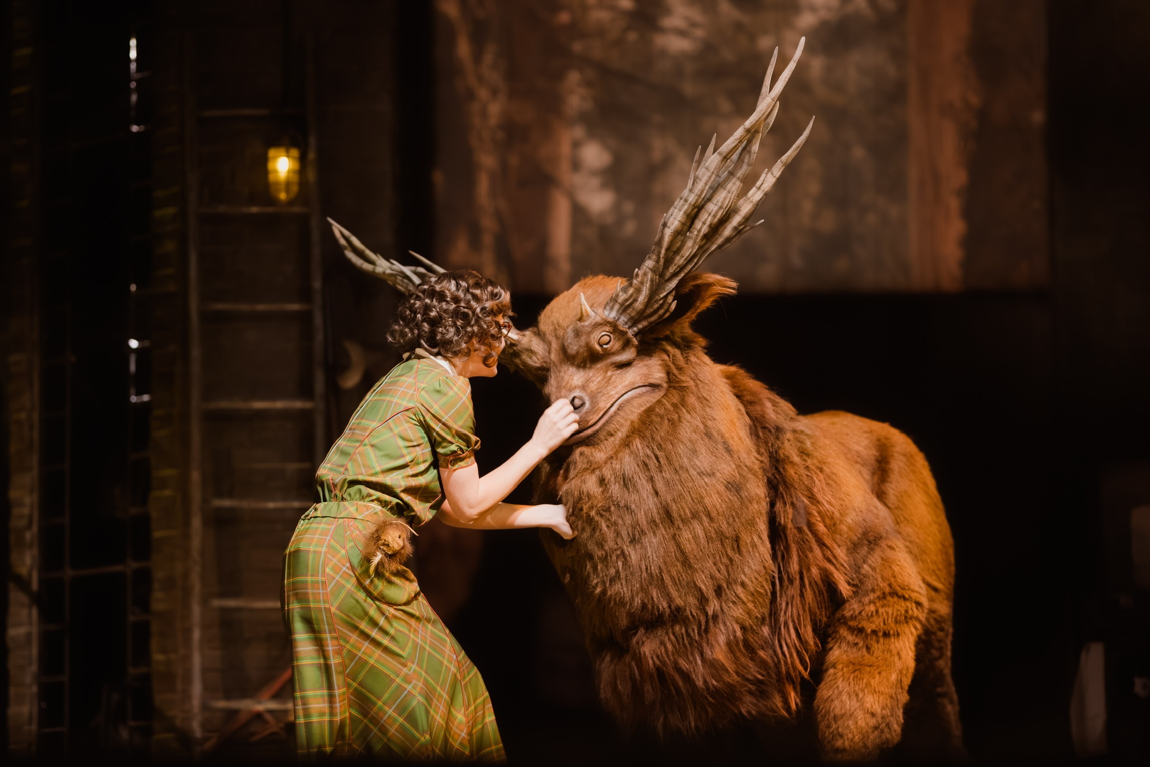 Le Cirque Arcanus Show image 5